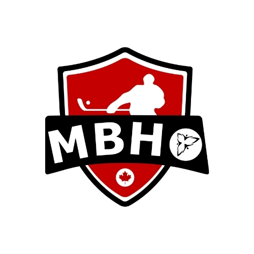 King City-Nobleton Ball Hockey League logo