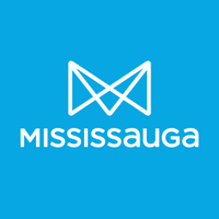 Mississauga Adult Soccer League logo